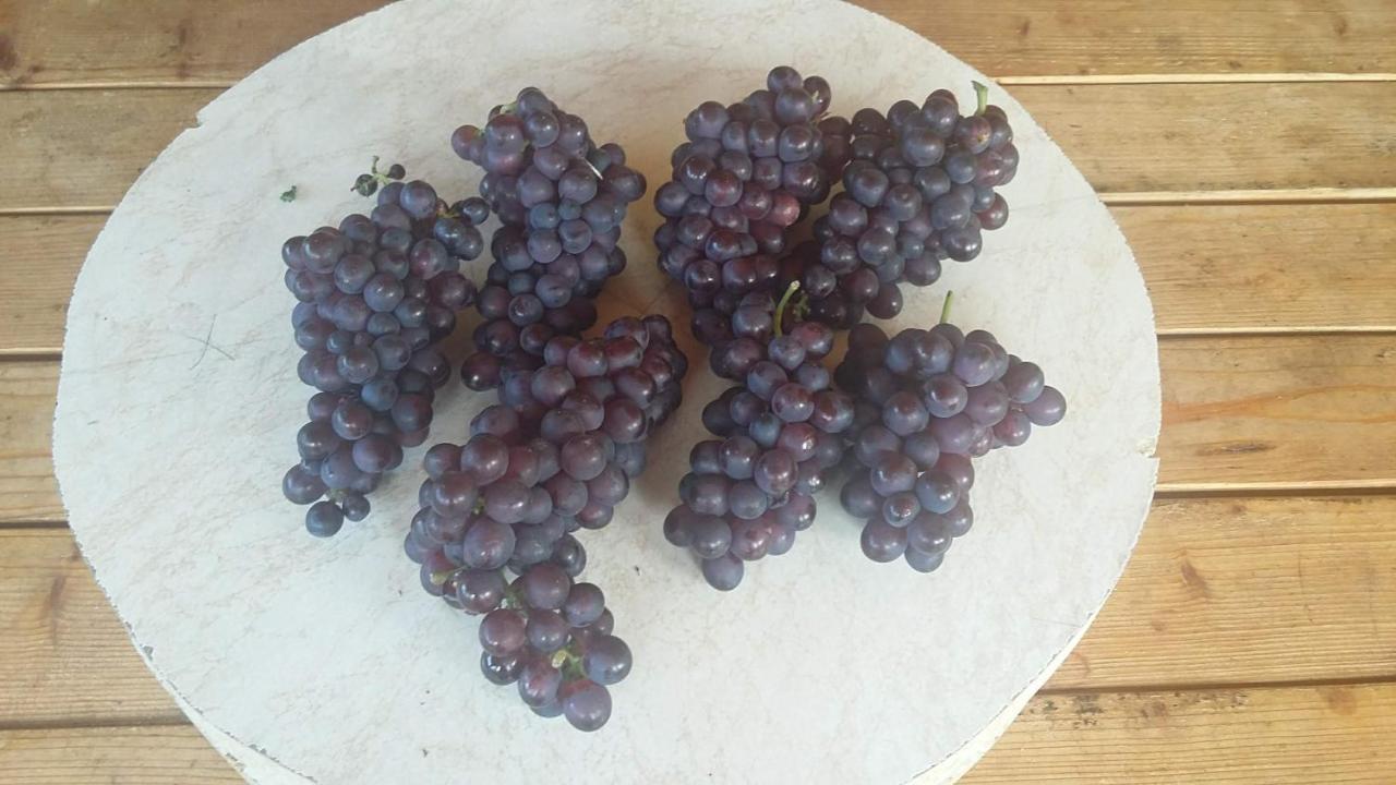 Vila Pegaz 威尔帕扎 外观 照片